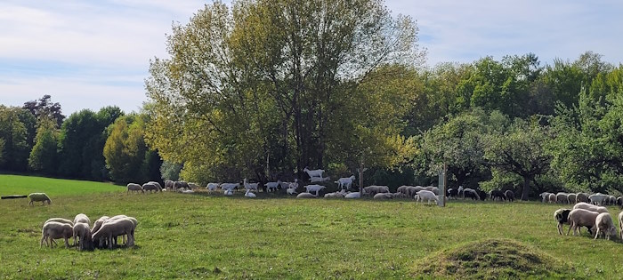 Wanderung am Truppenübungsplatz 3